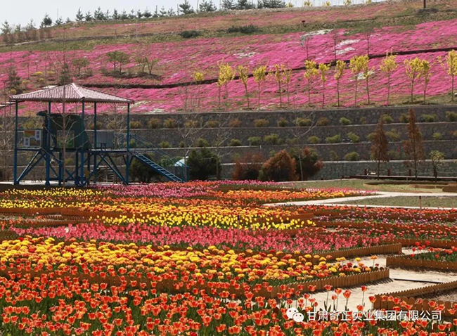 PG电子·(中国)游戏官方网站