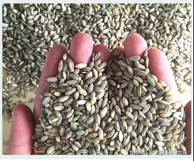 PG电子·(中国)游戏官方网站