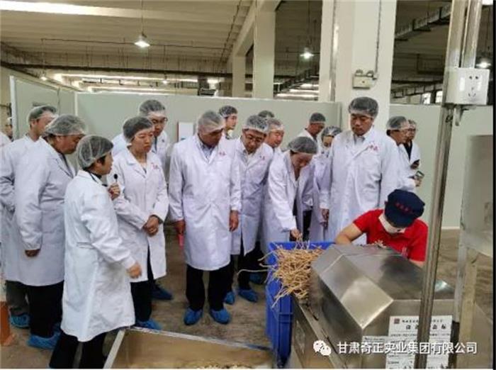 PG电子·(中国)游戏官方网站