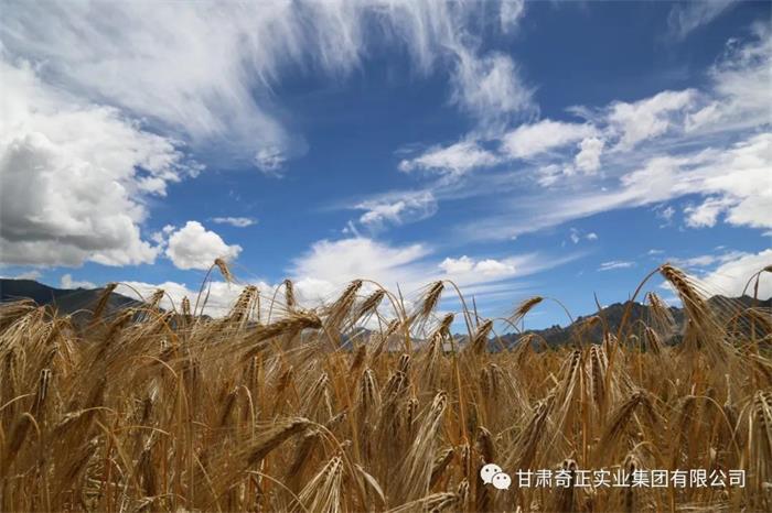 PG电子·(中国)游戏官方网站