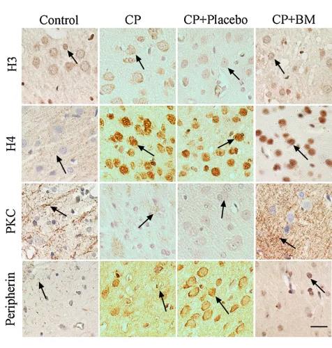 PG电子·(中国)游戏官方网站