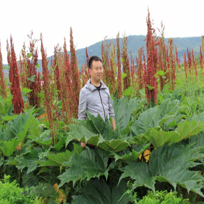 PG电子·(中国)游戏官方网站