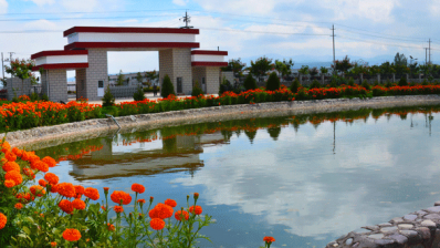 陇西PG电子药材有限责任公司