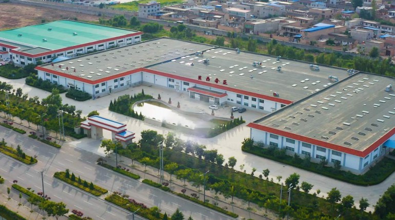 PG电子中药简介