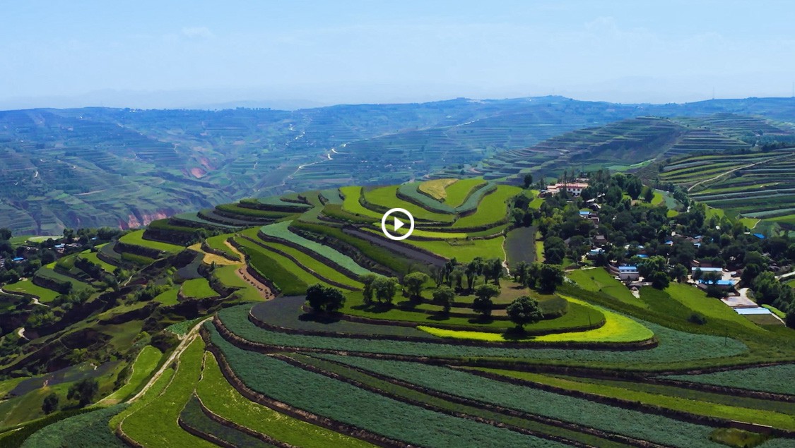 PG电子中药宣传片