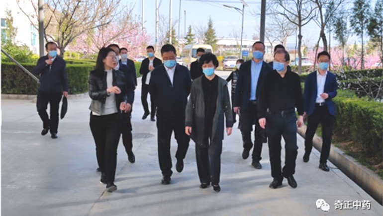 甘肃省副省长何伟一行莅临陇西PG电子调研指导