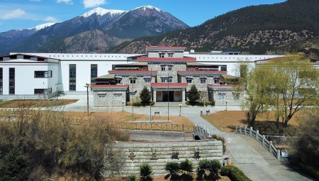 西藏PG电子藏药股份有限公司