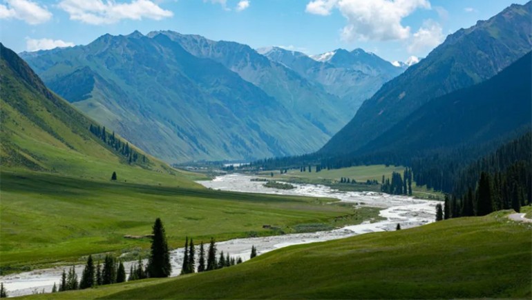 公司治理获高度认可！PG电子藏药入选中上协“最佳实践案例”