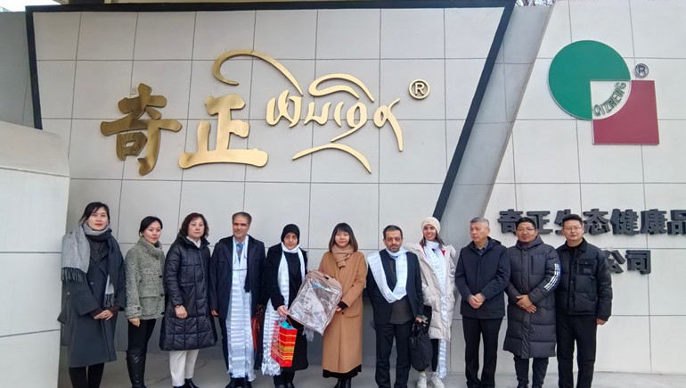 深掘藏医瑰宝，，，，，共绘康健新篇——伊朗代表团莅临PG电子集团参访交流